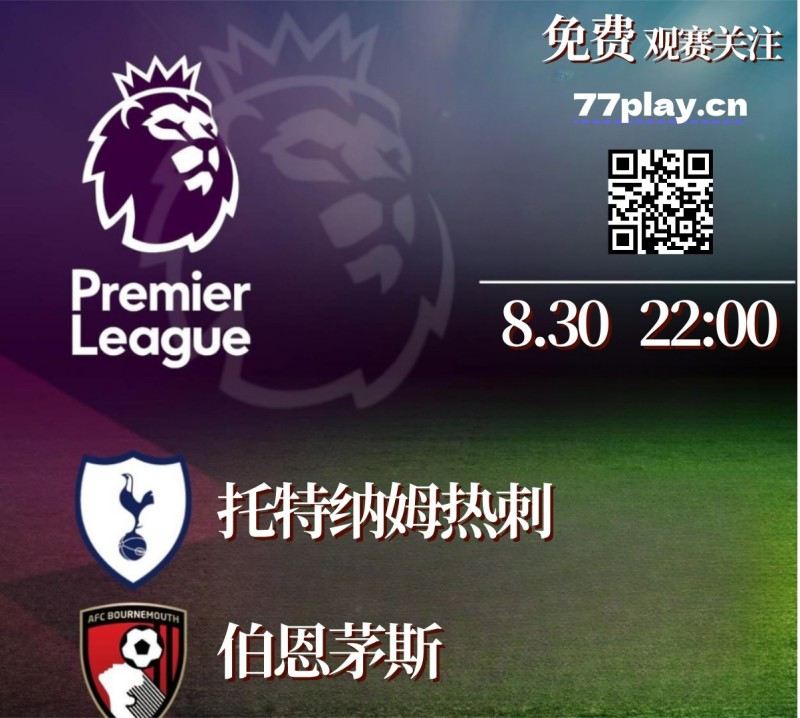 英超托特纳姆热刺vs伯恩茅斯：托特纳姆热刺球迷欣喜若狂